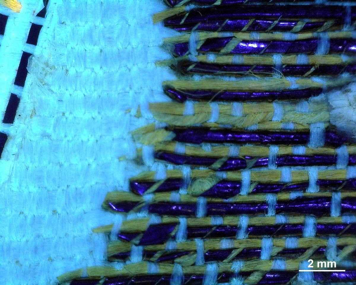 Spodní část květu s dracouny a žlutým hedvábím v UV světle