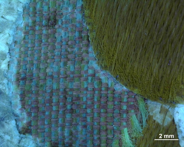 Žlutý květ – Rozdílná fluorescence osnovy a útku (UV světlo)